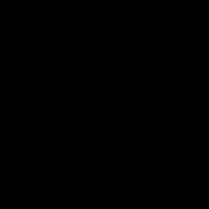 Meet your Posher, Ash